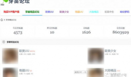 成人网站视频,激情瞬间与道德边界